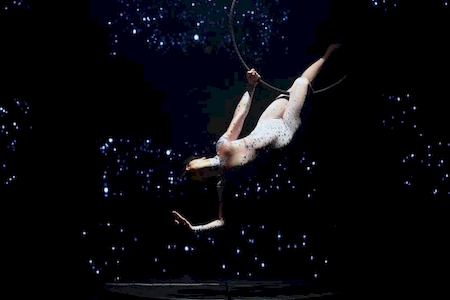 spectacle cabaret glam stars et almeras music live